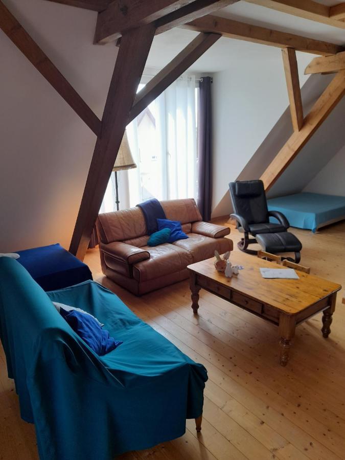 Apigite68, Proche Route Des Vins, Vosges, Colmar Et Non Loin D'Europa-Park! أوستا المظهر الخارجي الصورة